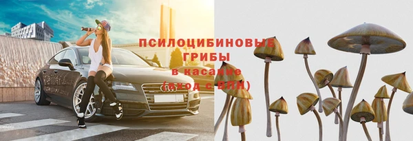 герыч Арсеньев