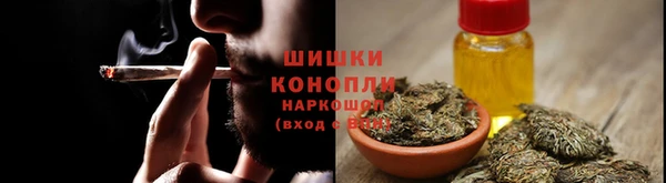 дмт Аркадак