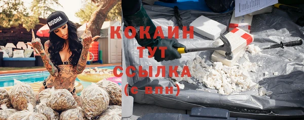 дмт Аркадак