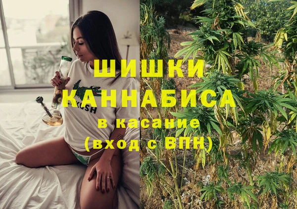 дмт Аркадак