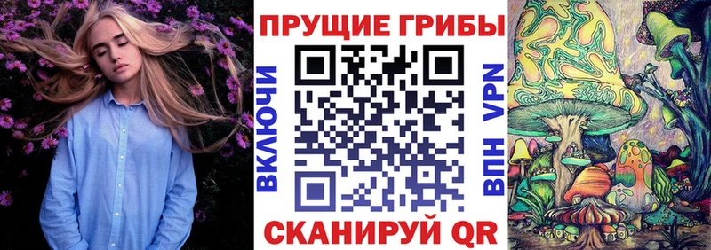Псилоцибиновые грибы MAGIC MUSHROOMS  Борисоглебск 